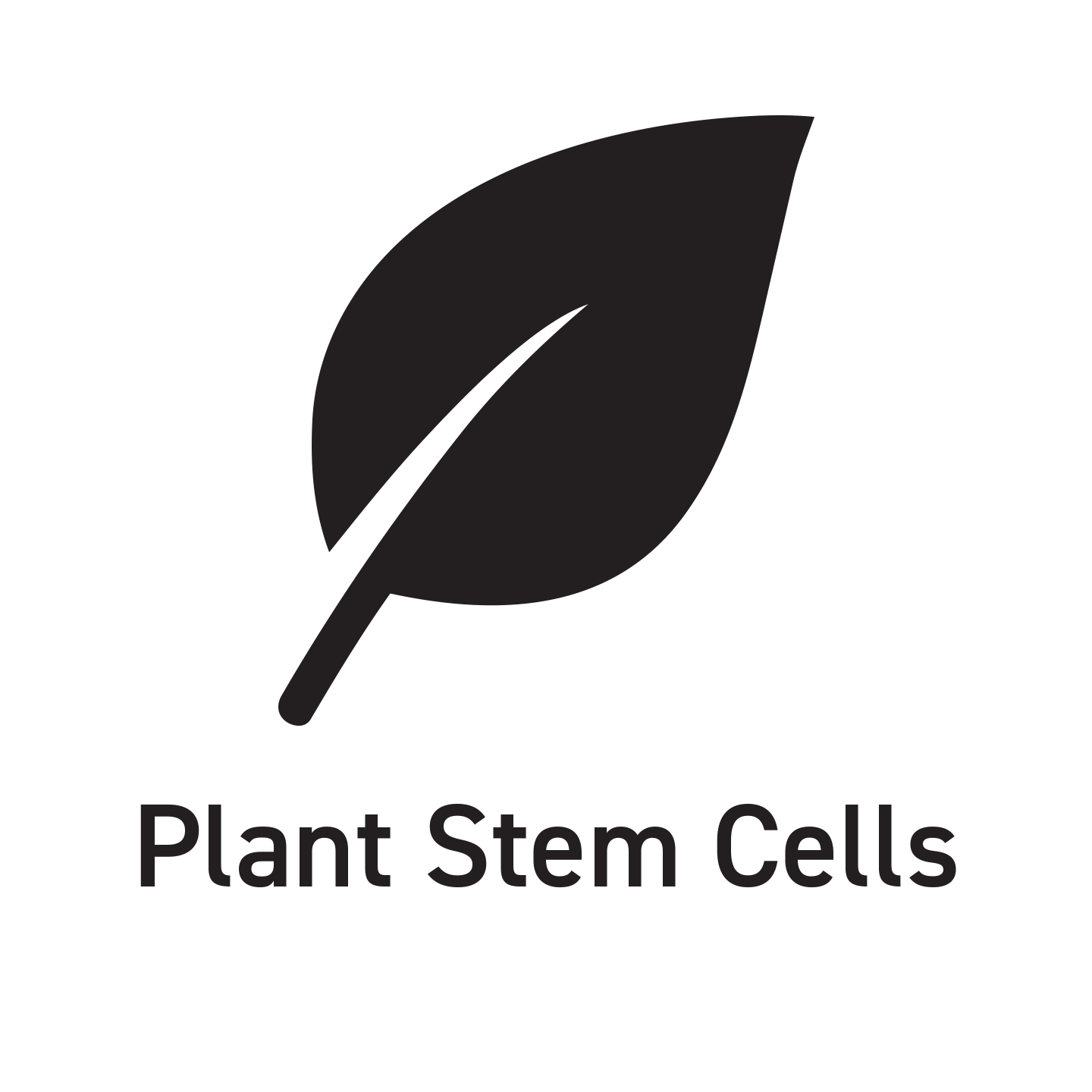 plant stem cells